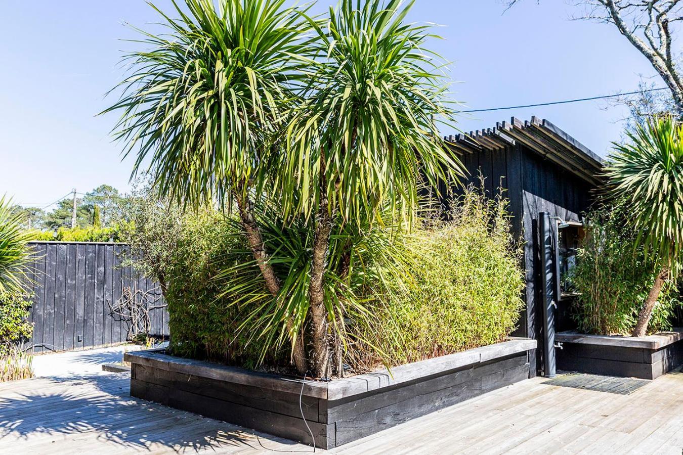 Beach House Lège-Cap-Ferret Eksteriør billede